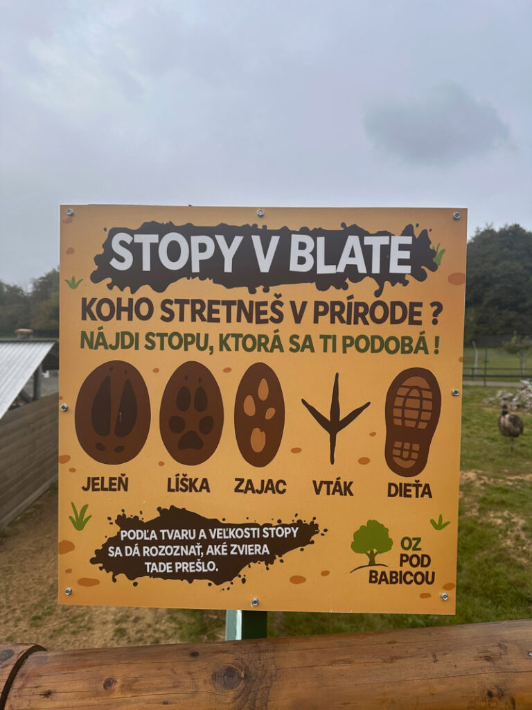 Edukačné prvky v areáli