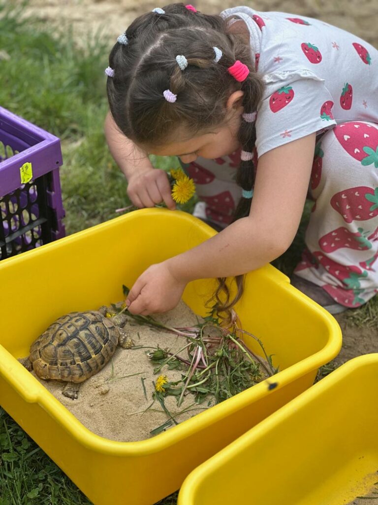 Kontakt detí so zvieratami