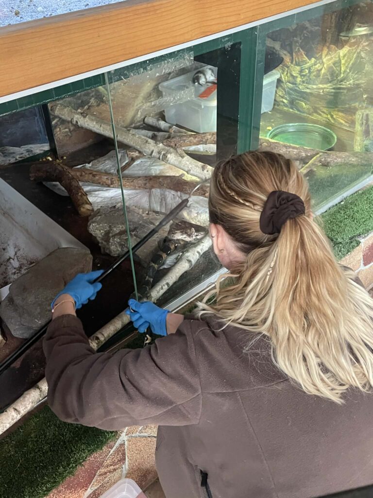 Starostlivosť o zvieratá