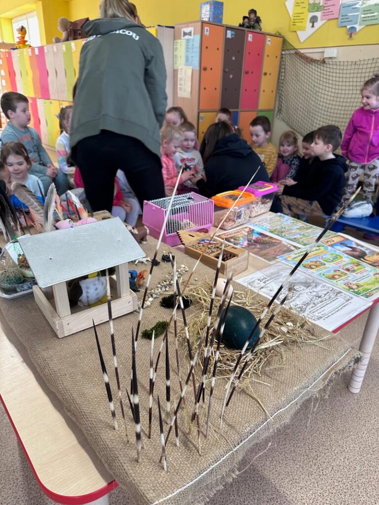 Výjazdové aktivity (Zvieratá na cestách)